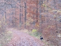 Burgstall im Herbst