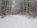 Burgstall im Winter