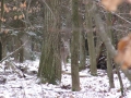 Burgstall im Winter