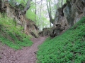 Hohlweg bei Hechlingen am See