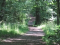 Jacobsweg durch den Burgstall