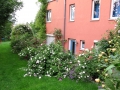 Rosenrabatte - Sicht vom Carport
